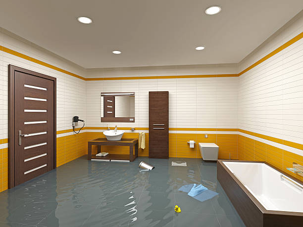 Reliable Virginia Beach, VA Water damage restoration Solutions